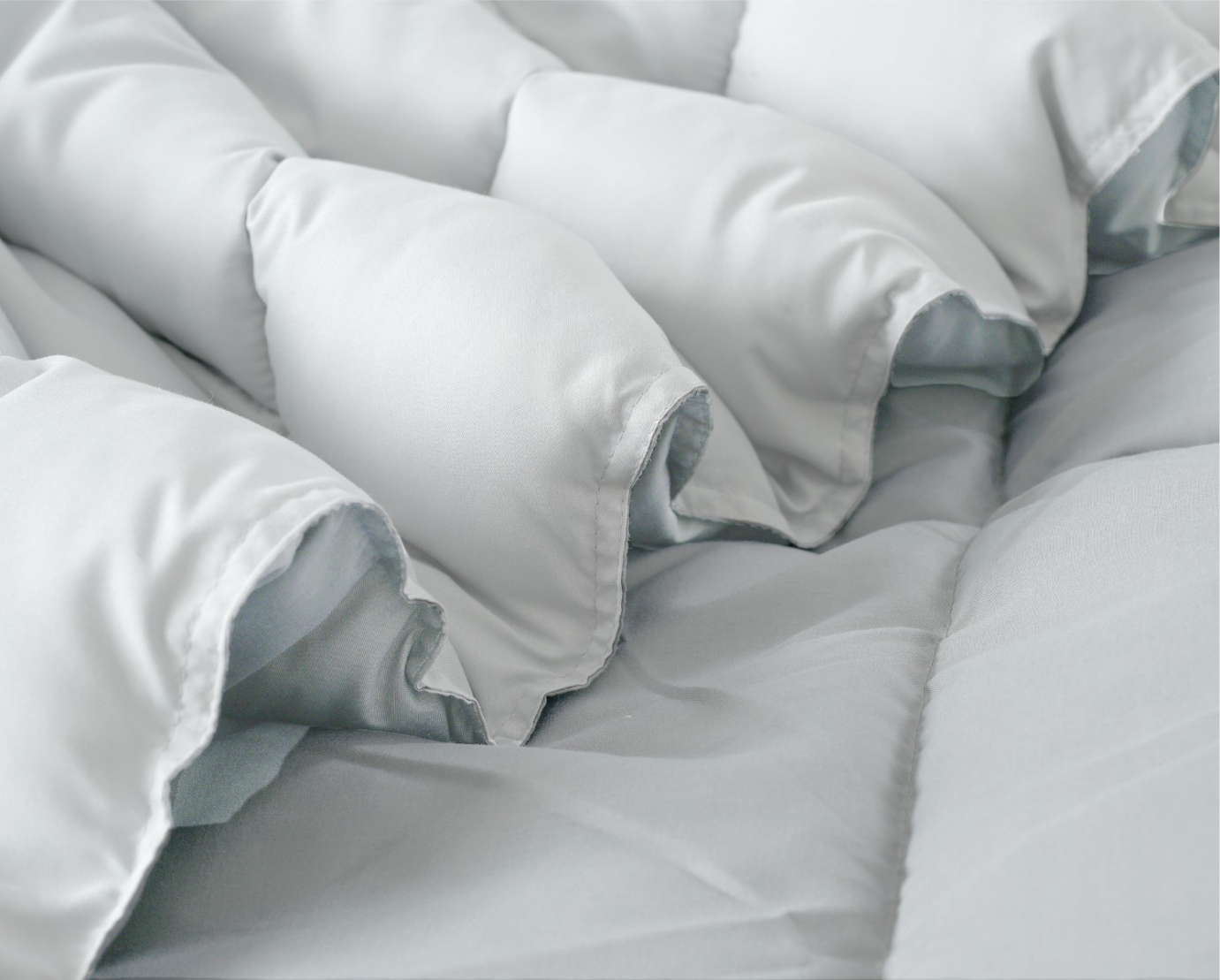 Boston Ivory Cloud Reversible Comforter