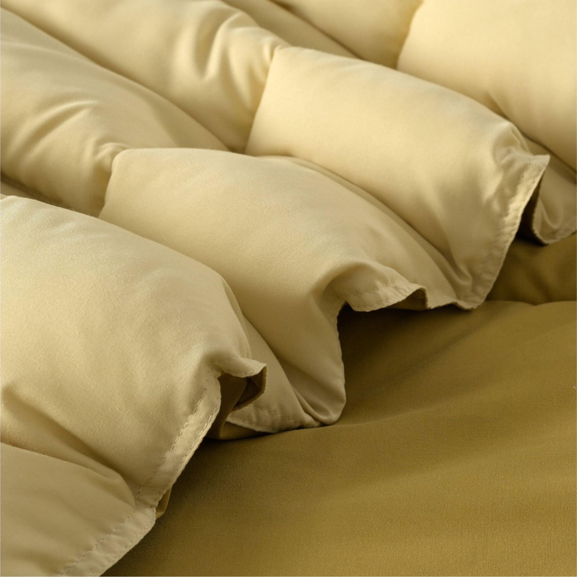 Boston Golden Dune Reversible Comforter
